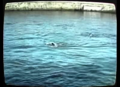 It was August 21, 1988, and four people decided to risk their lives crossing the Spree River in an attempt of escaping East Germany in hope for freedom in West Berlin. Three men and a woman risked their lives and watching it today make everything look like a distant event in the past, but that was Berlin at the time.