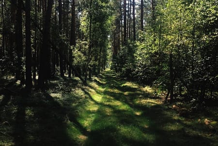 My Weekend Walking from Berlin to Poland
