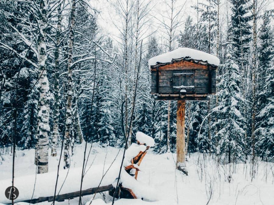 Long before the Vikings, the Swedish and the Finnish culture had developed, there were Sami people around Scandinavia. This is their story.