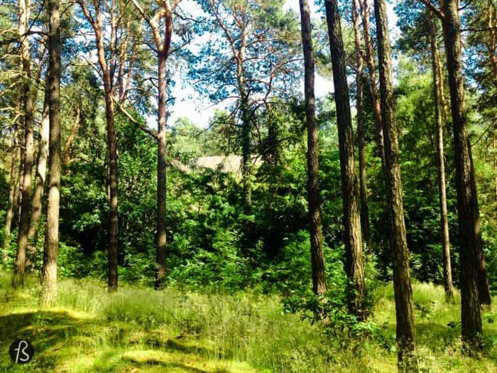 On a really warm summer day a couple of years ago, I decided to take my camera to Oranienburg just to see if I was right and that weird dot in the middle of a forest was really a bunker. I was there before when I found my way into the SS Bakery and I knew that there was more hidden in the woods around it. Too bad the bunker wasn’t in a good shape.