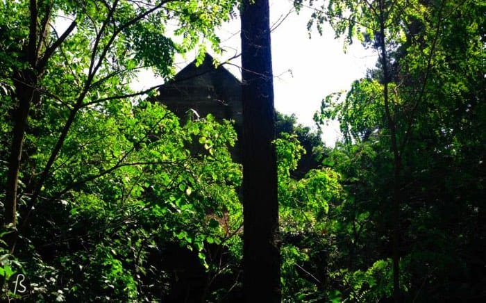 On a really warm summer day a couple of years ago, I decided to take my camera to Oranienburg just to see if I was right and that weird dot in the middle of a forest was really a bunker. I was there before when I found my way into the SS Bakery and I knew that there was more hidden in the woods around it. Too bad the bunker wasn’t in a good shape.