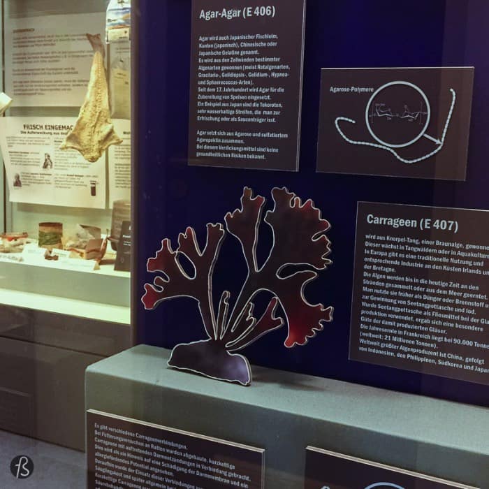 For us, the exciting part of the German Food Additives Museum was how it tries to tell the world about the food we eat in a focused way. There is even a scanner that you can use on some barcodes to learn what is inside the products you buy. The museum shows the history behind what we have today and the current landscape of food additives in an informational way. Something that we were delighted to see since the most information you have about this topic goes to the political aspect fast.