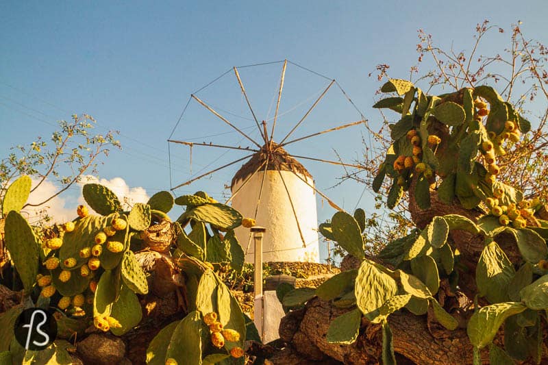 The traditional way of building the windmills of Mykonos is simple. They were all spherical shaped, made of stones sourced locally and a pointed roof at the top made of wood. Today, they are all painted white which blends quite well with the other buildings spread around the island and looks gorgeous in contrast to the blue from the Aegean sea.