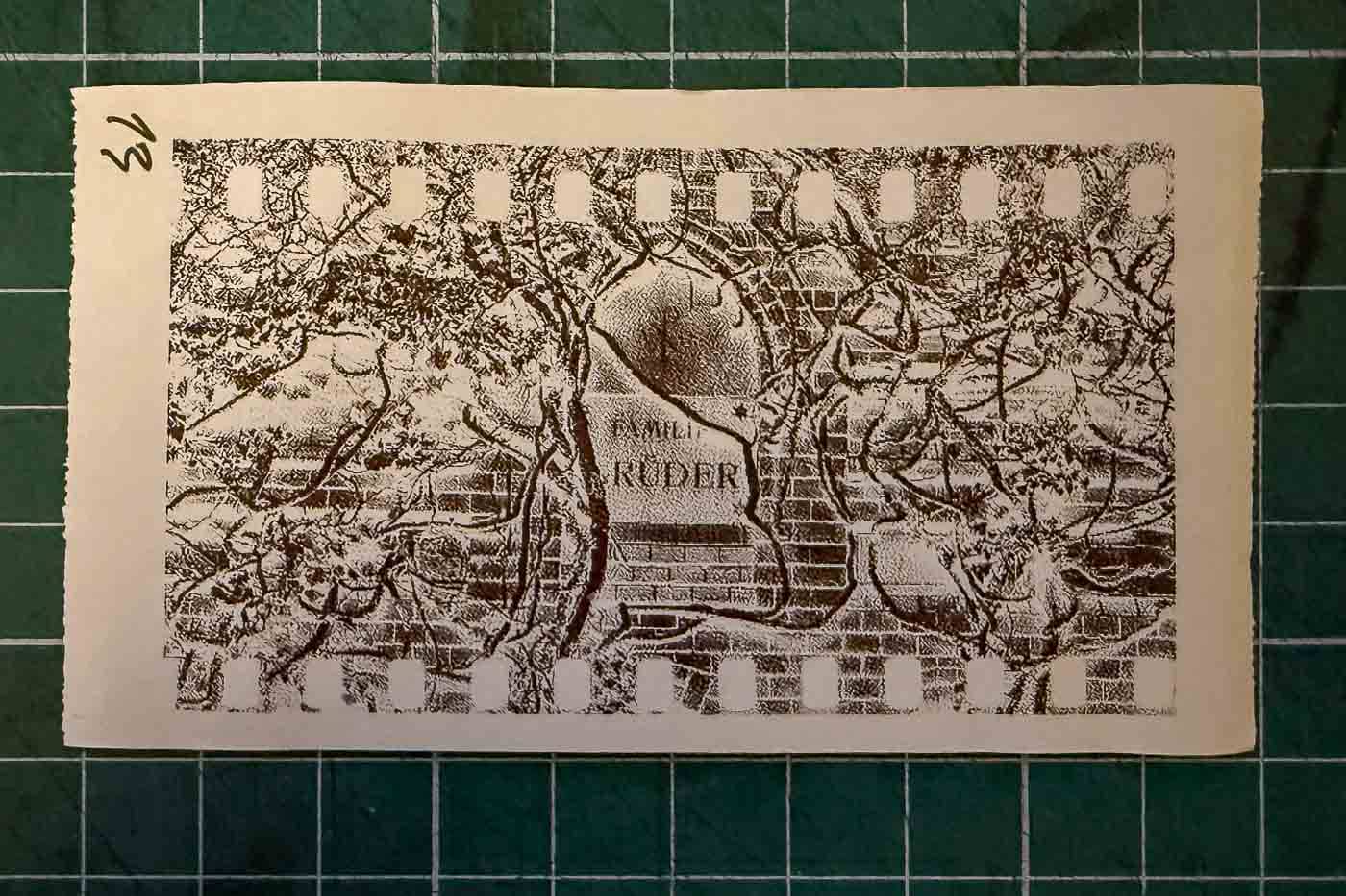 My love affair with the thermal paper camera began with a simple YouTube video. The idea of a camera that prints lo-fi, black-and-white photos on the spot—for the ridiculously low price of thermal paper—was too appealing to ignore.