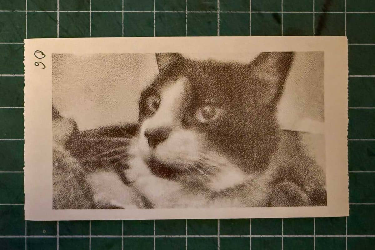 My love affair with the thermal paper camera began with a simple YouTube video. The idea of a camera that prints lo-fi, black-and-white photos on the spot—for the ridiculously low price of thermal paper—was too appealing to ignore.